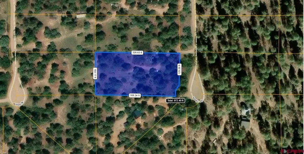 123 Susan's Place Pagosa Springs, CO 81147