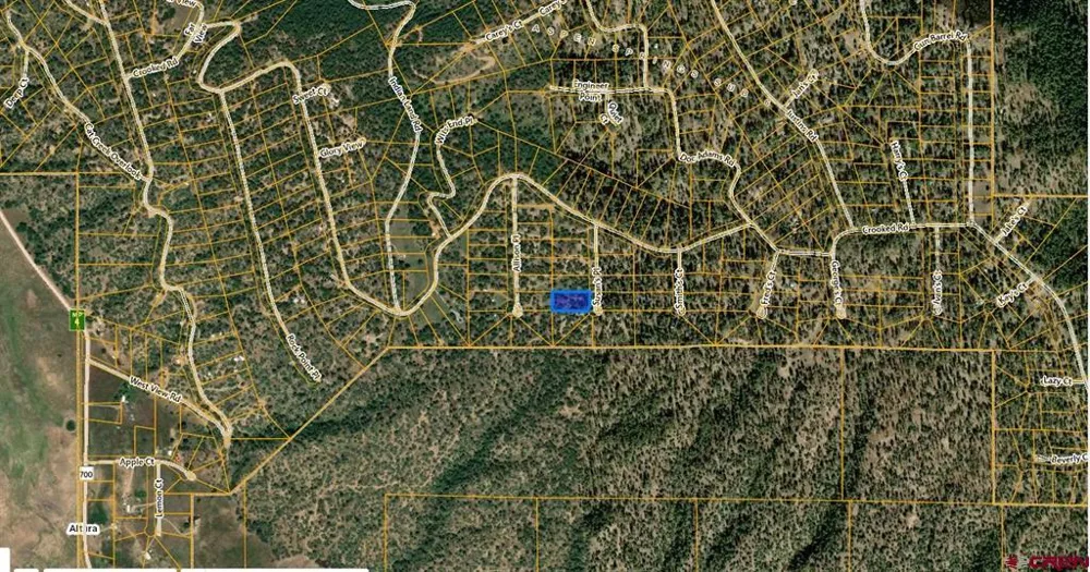 123 Susan's Place Pagosa Springs, CO 81147