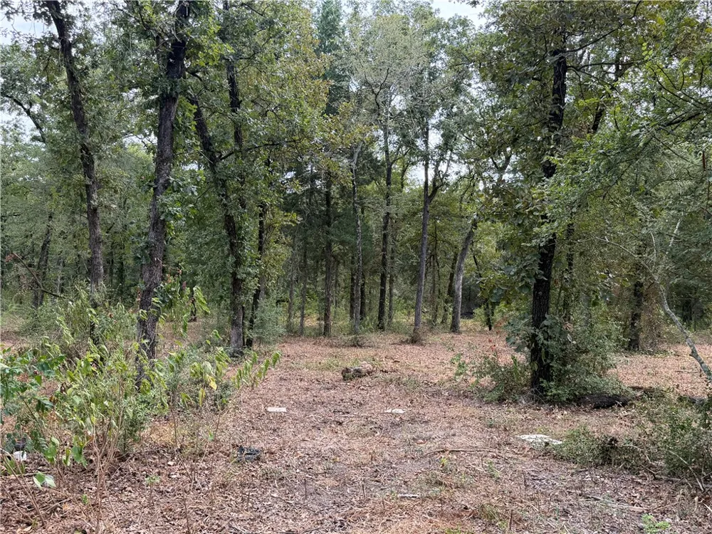 6353 Private Rd. 3443 Marquez, TX 77865