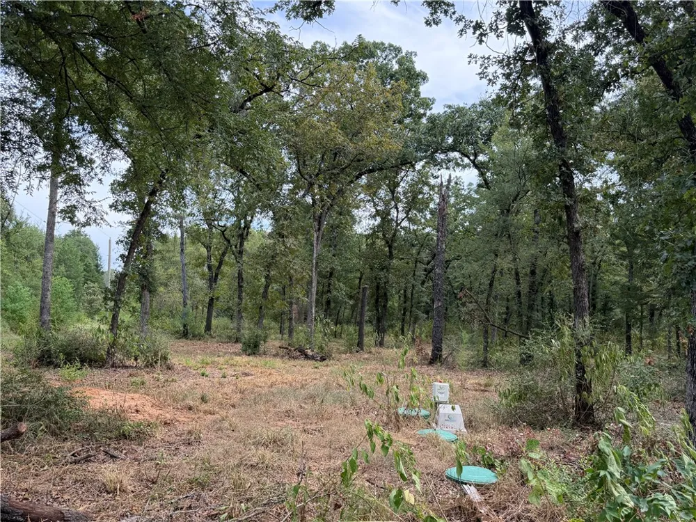 6353 Private Rd. 3443 Marquez, TX 77865