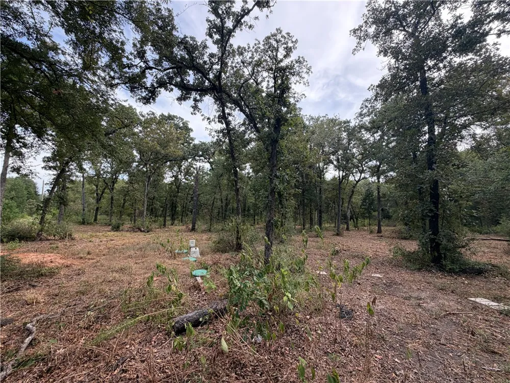 6353 Private Rd. 3443 Marquez, TX 77865