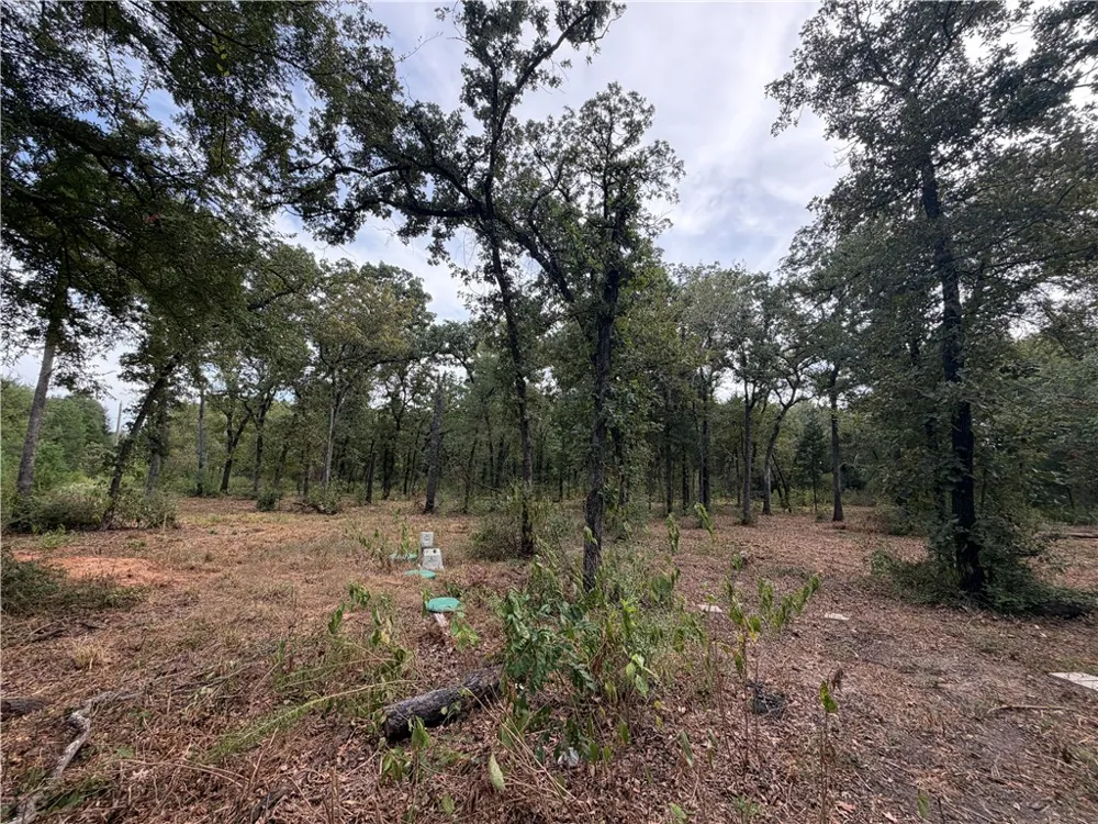 6353 Private Rd. 3443 Marquez, TX 77865