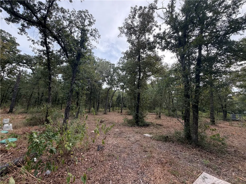 6353 Private Rd. 3443 Marquez, TX 77865