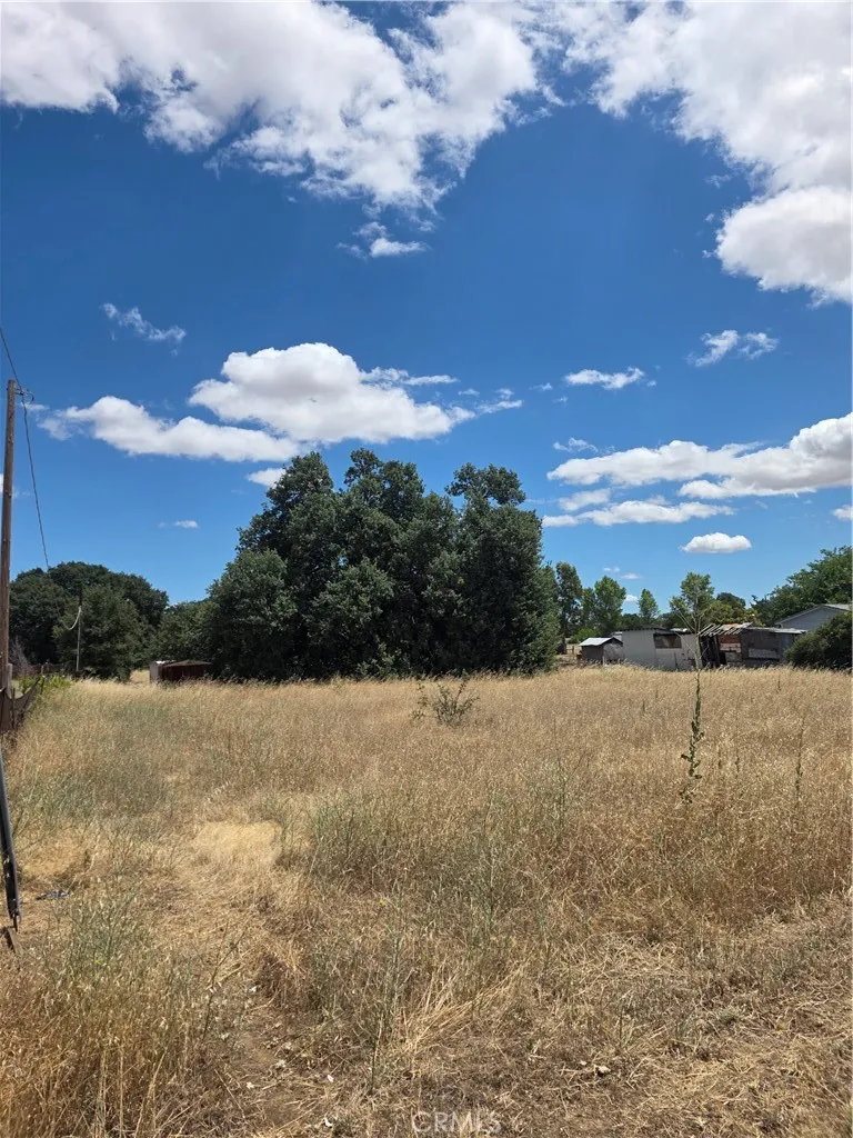 7530 Leisure Landing Corning, CA 96021