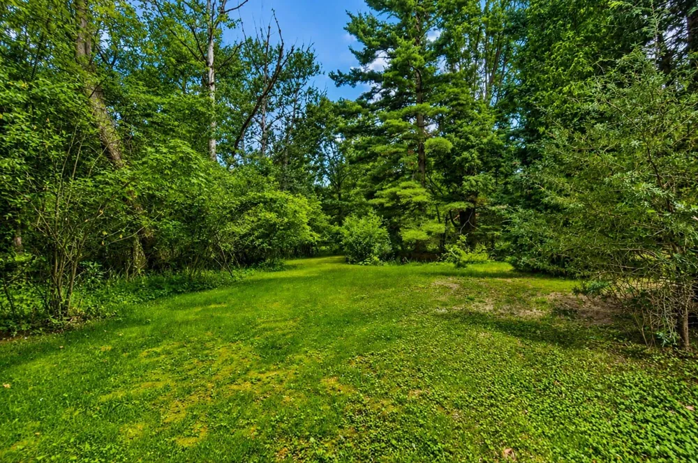 6109 Brooklyn Road Napoleon Township, MI 49201