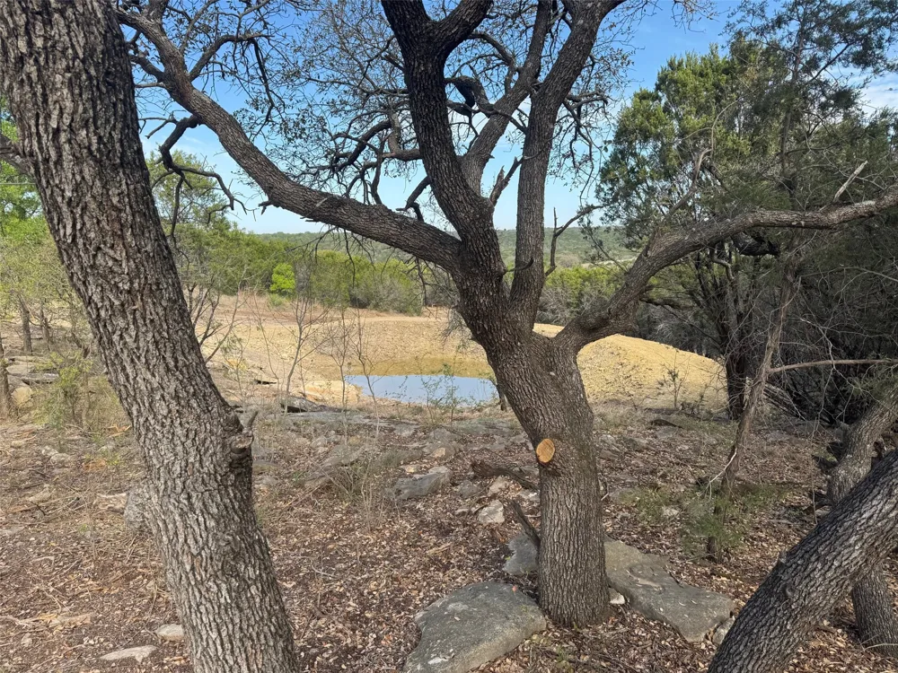 1061 Shiloh Vista Lane Tolar, TX 76476
