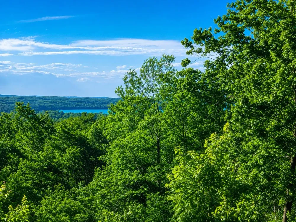 5474 Lackey Road Whitewater Township, MI 49690