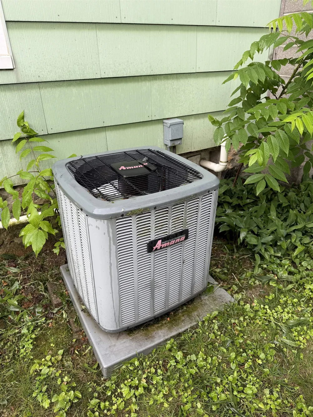 414 Maple Street Ithaca City, MI 48847