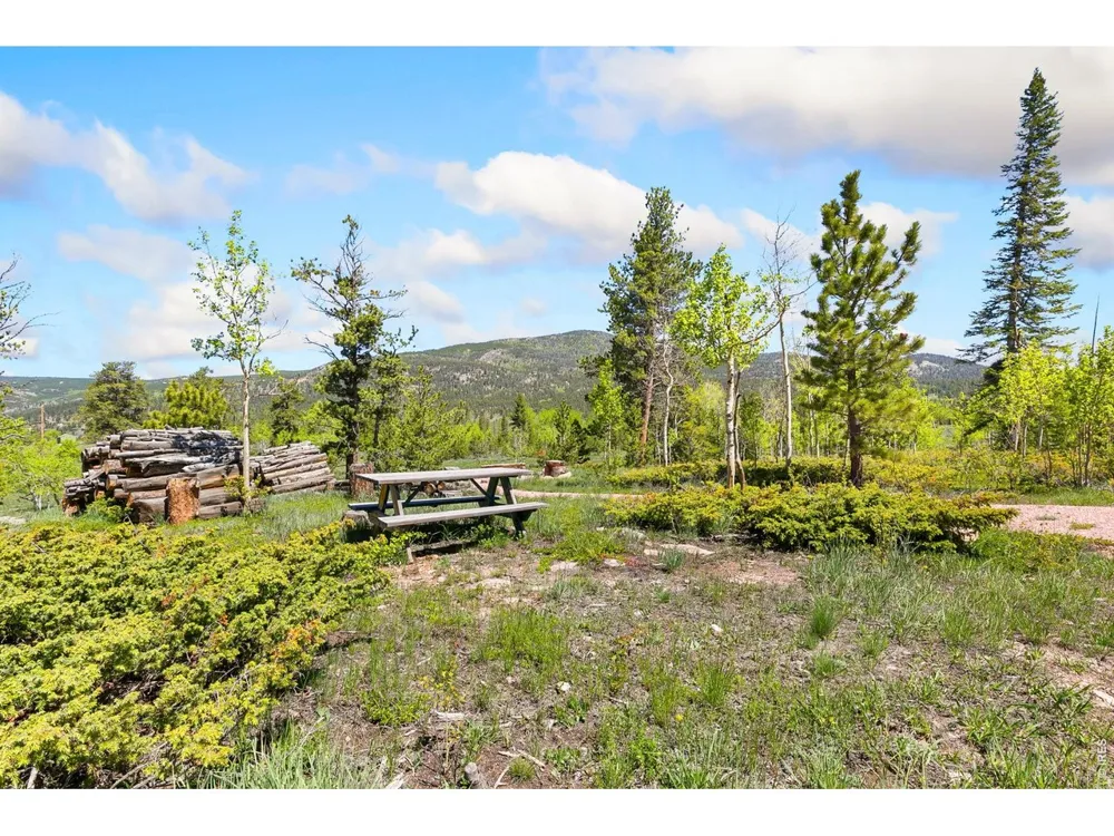 5449 County Road 73C Red Feather Lakes, CO 80545