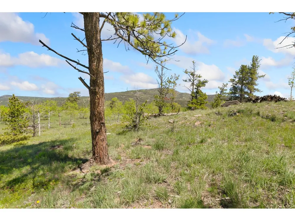 5449 County Road 73C Red Feather Lakes, CO 80545