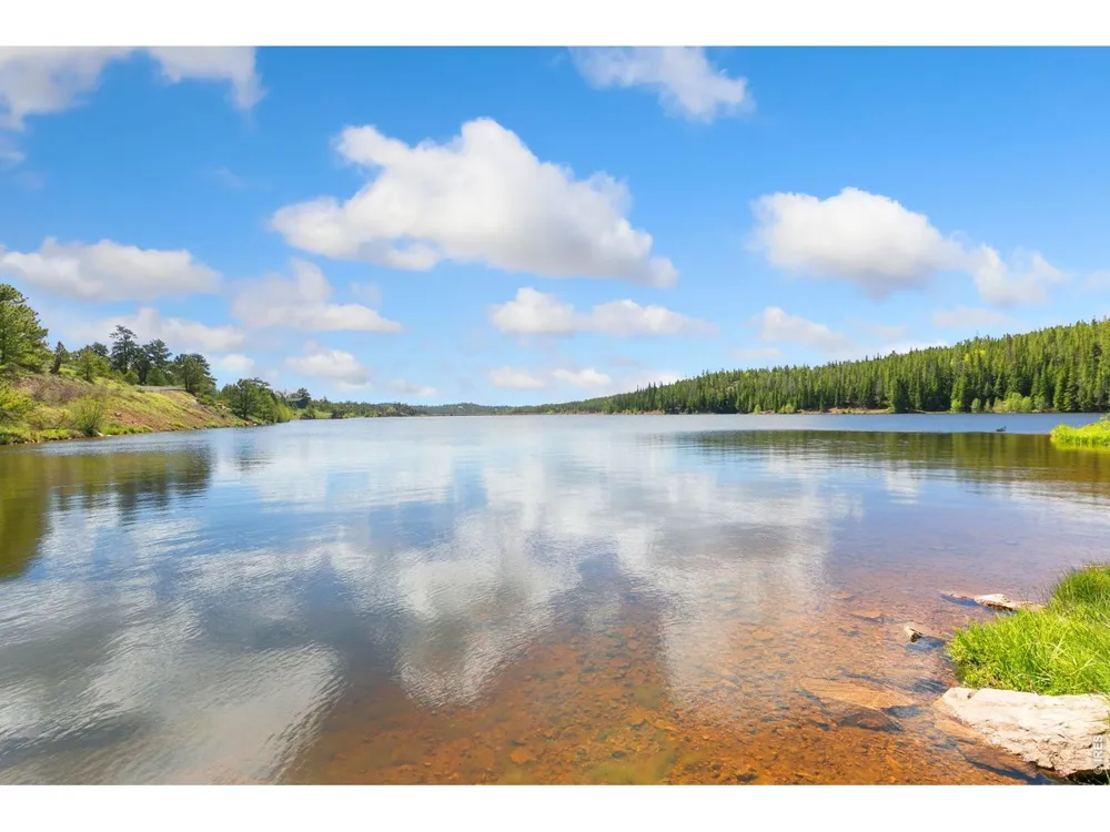 5449 County Road 73C Red Feather Lakes, CO 80545