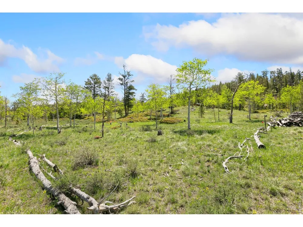 5449 County Road 73C Red Feather Lakes, CO 80545