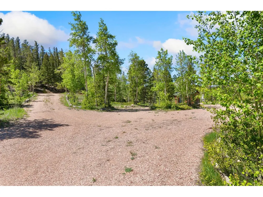 5449 County Road 73C Red Feather Lakes, CO 80545