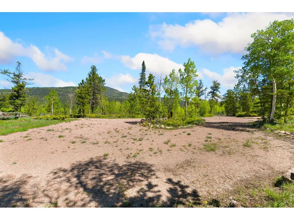 5449 County Road 73C Red Feather Lakes, CO 80545