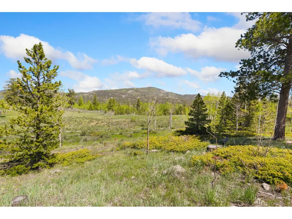 5449 County Road 73C Red Feather Lakes, CO 80545