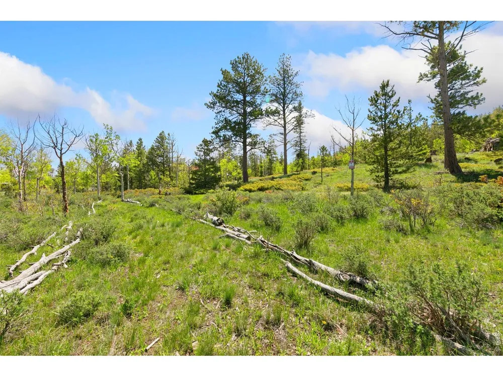 5449 County Road 73C Red Feather Lakes, CO 80545