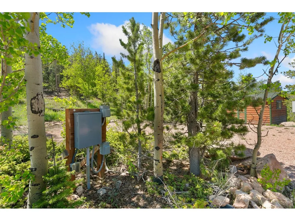 5449 County Road 73C Red Feather Lakes, CO 80545