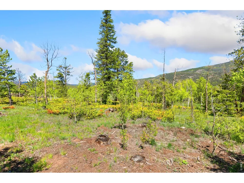 5449 County Road 73C Red Feather Lakes, CO 80545