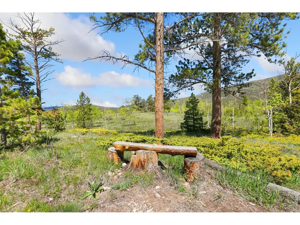 5449 County Road 73C Red Feather Lakes, CO 80545