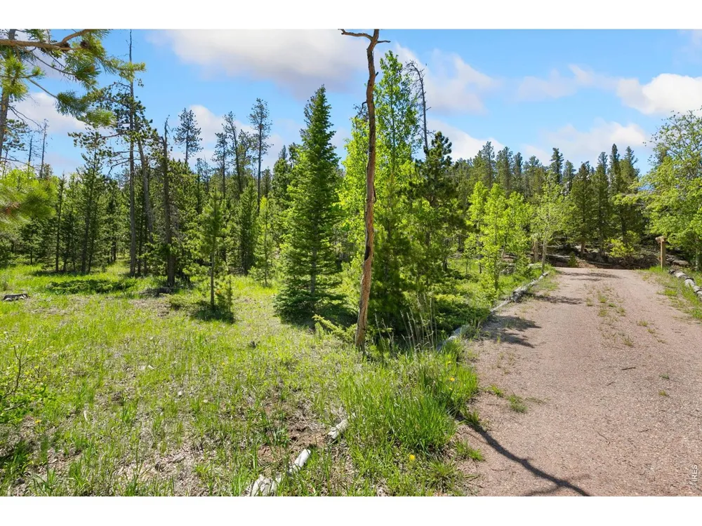 5449 County Road 73C Red Feather Lakes, CO 80545