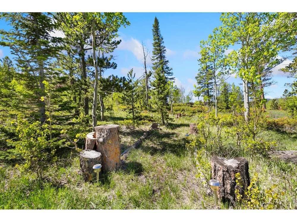 5449 County Road 73C Red Feather Lakes, CO 80545