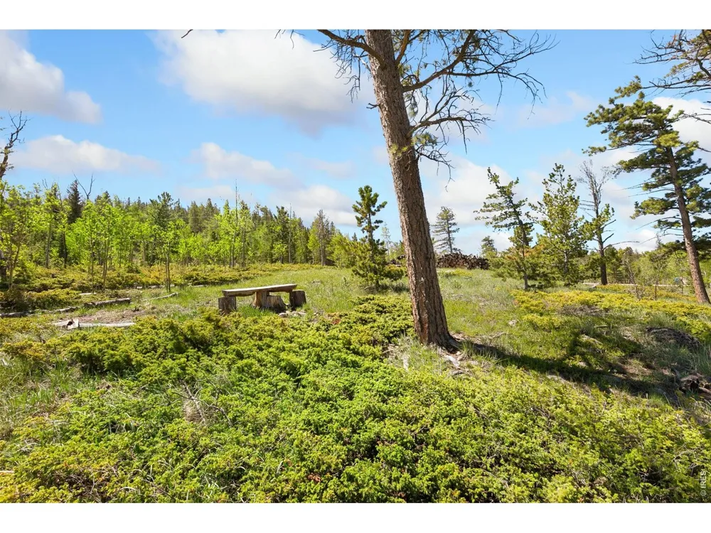 5449 County Road 73C Red Feather Lakes, CO 80545