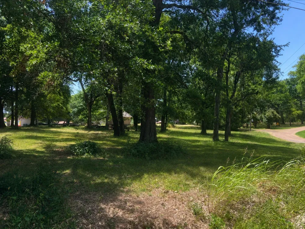 Shady Shores Drive Mabank, TX 75156