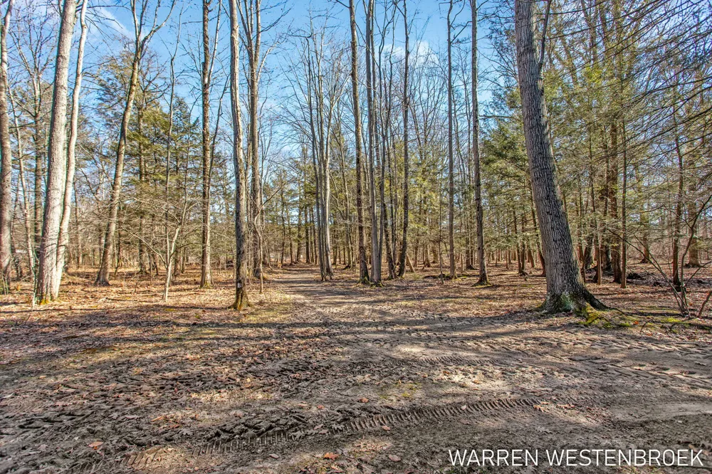 16342 Lincoln Street Grand Haven, MI 49417