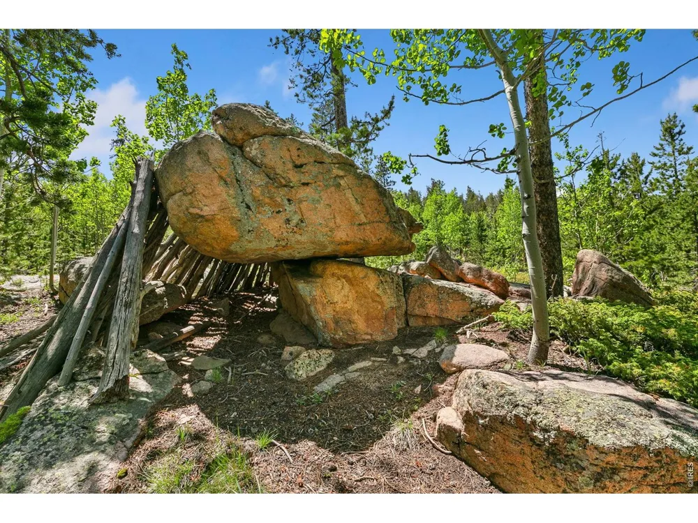 5481 County Road 73C Red Feather Lakes, CO 80545