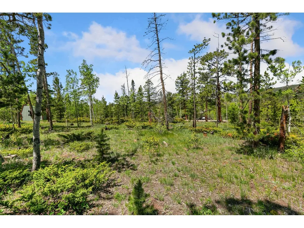 5481 County Road 73C Red Feather Lakes, CO 80545