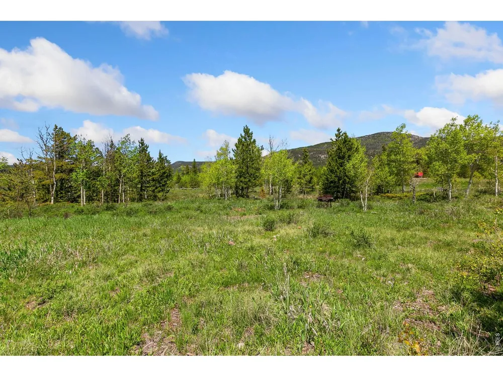 5481 County Road 73C Red Feather Lakes, CO 80545