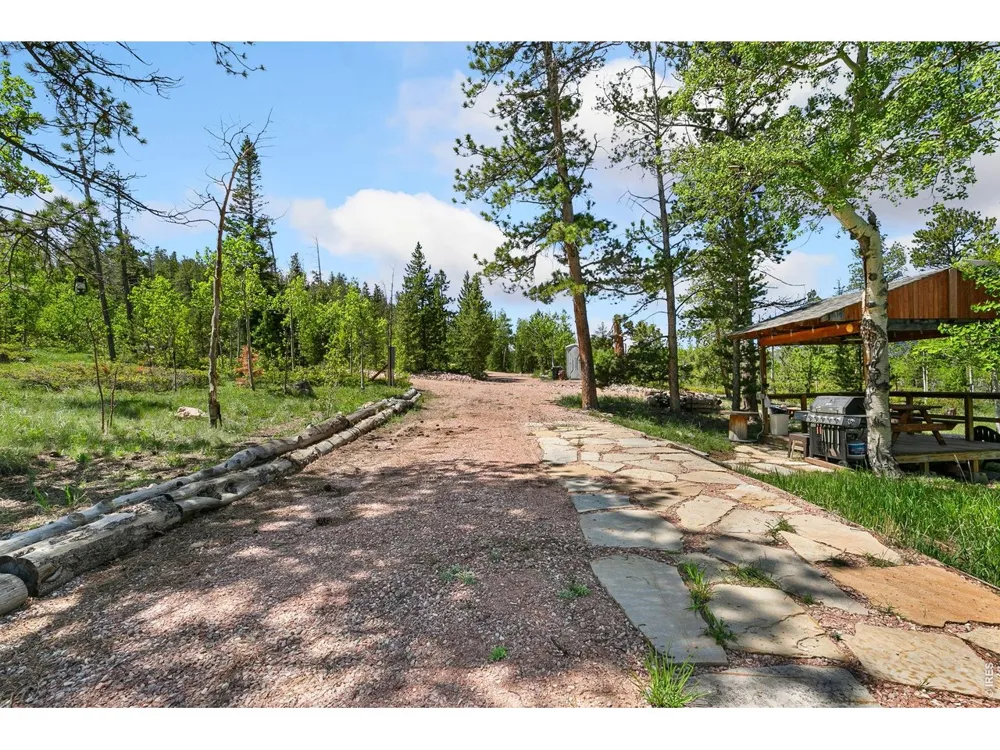 5481 County Road 73C Red Feather Lakes, CO 80545