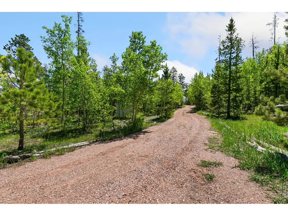 5481 County Road 73C Red Feather Lakes, CO 80545