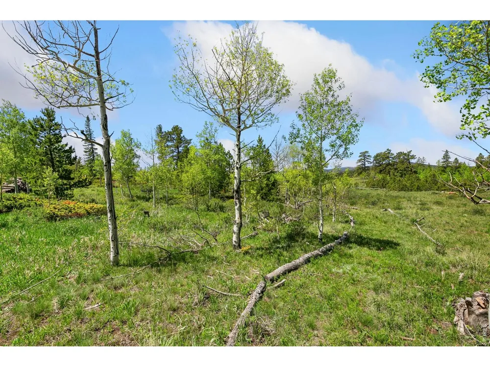 5481 County Road 73C Red Feather Lakes, CO 80545