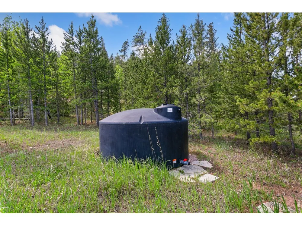 5481 County Road 73C Red Feather Lakes, CO 80545