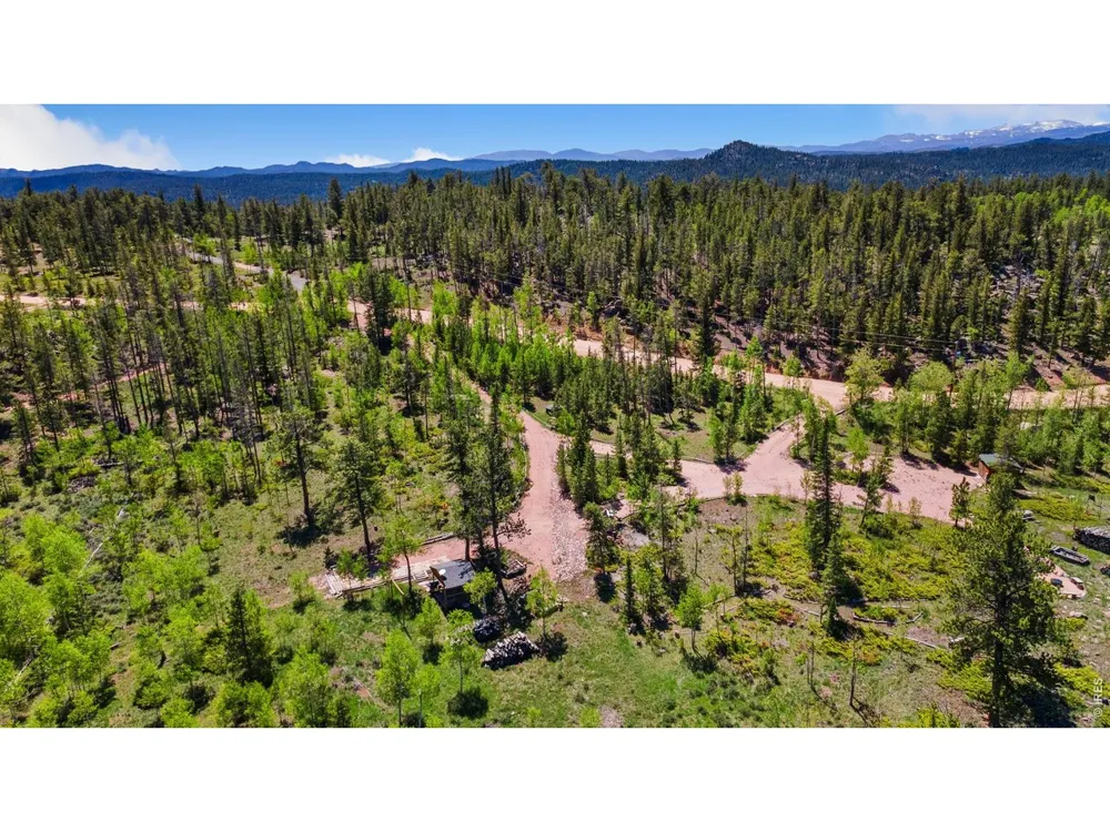 5481 County Road 73C Red Feather Lakes, CO 80545
