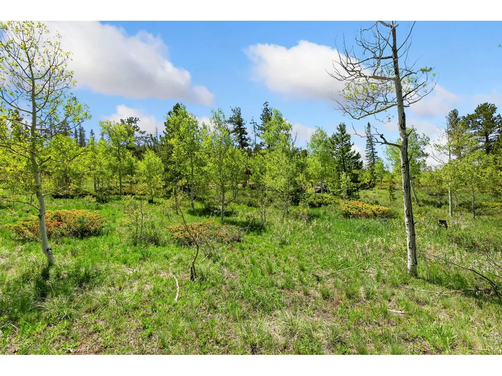 5481 County Road 73C Red Feather Lakes, CO 80545