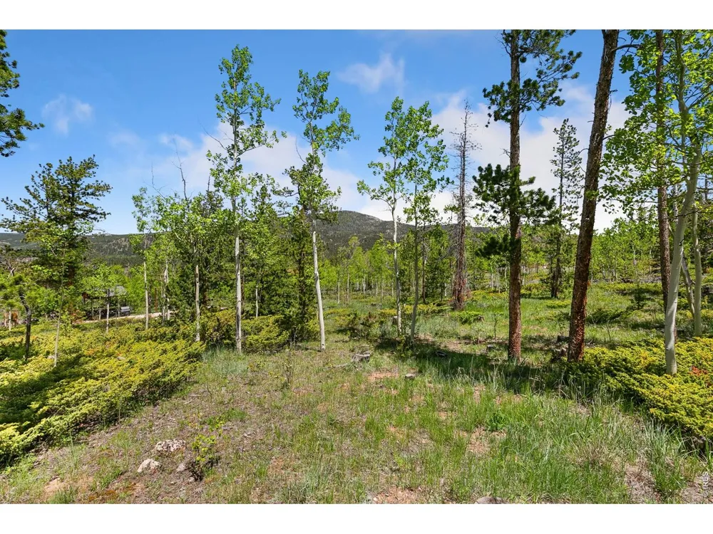 5481 County Road 73C Red Feather Lakes, CO 80545