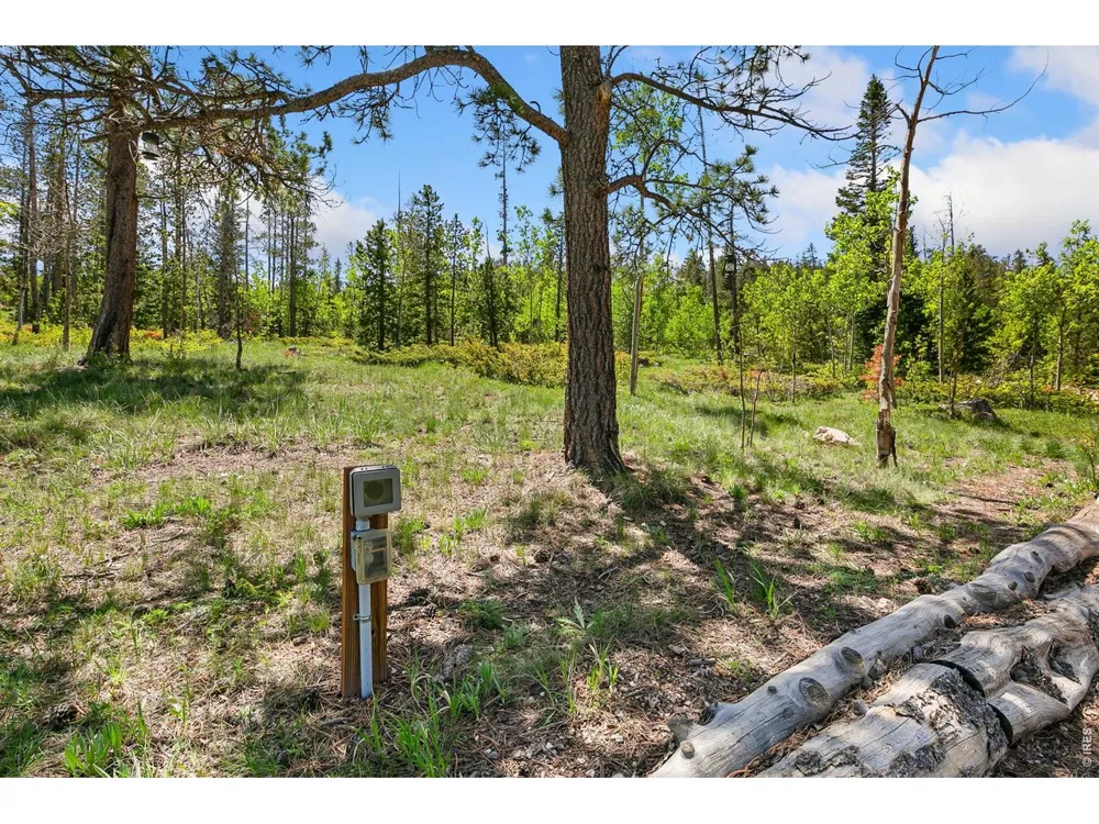5481 County Road 73C Red Feather Lakes, CO 80545