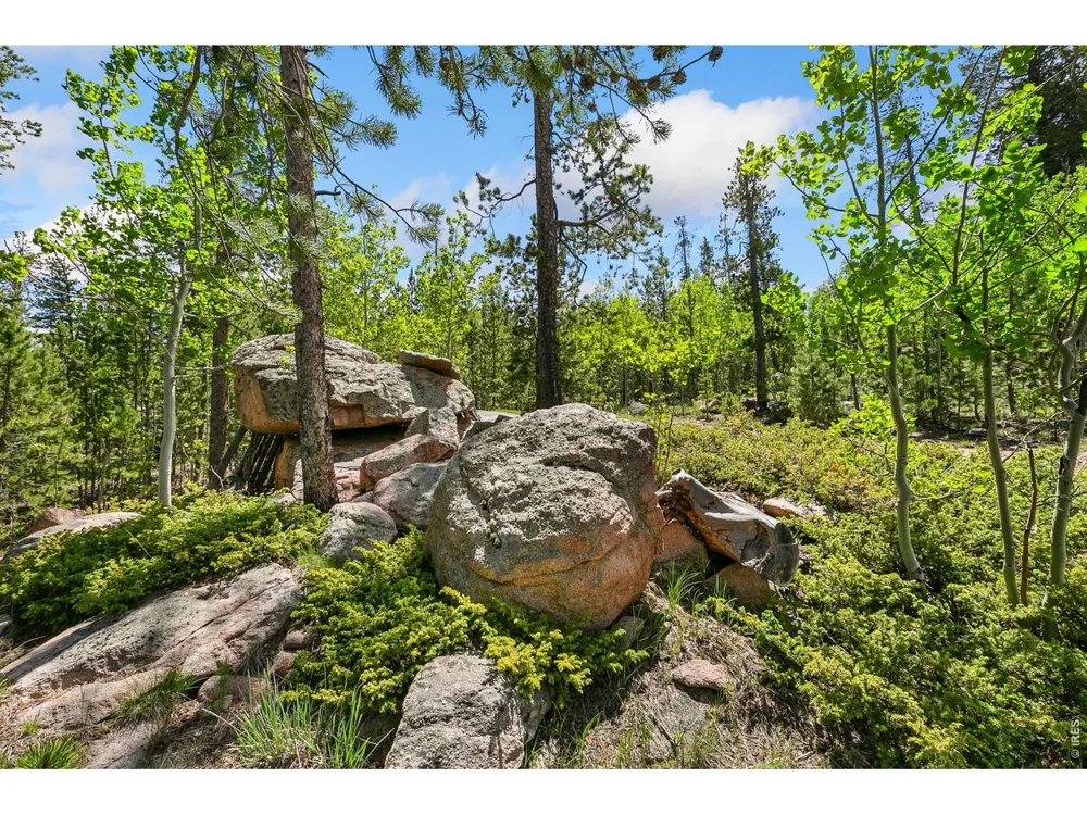 5481 County Road 73C Red Feather Lakes, CO 80545