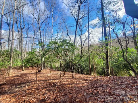 TBD Skye Drive #803a & 803b
