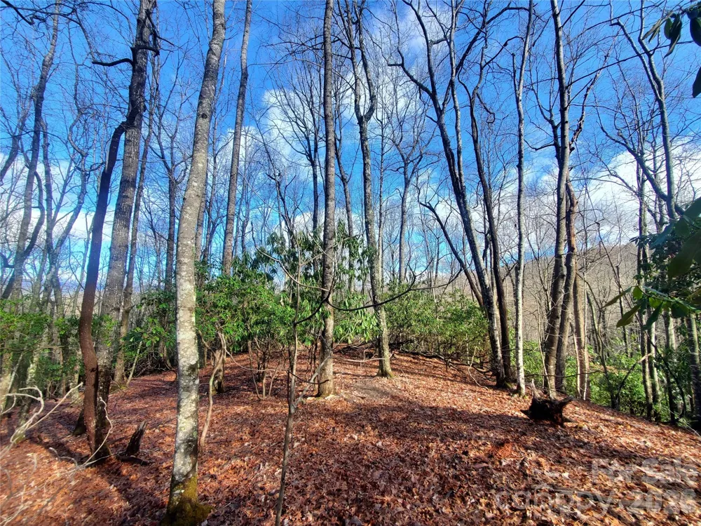 TBD Skye Drive #803a & 803b Pisgah Forest, NC 28768