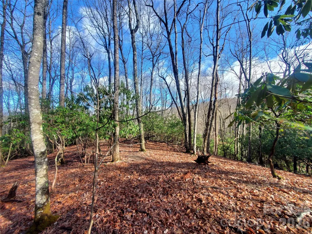 TBD Skye Drive #803a & 803b Pisgah Forest, NC 28768