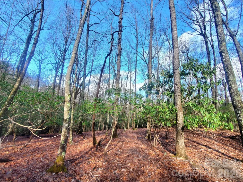 TBD Skye Drive #803a & 803b Pisgah Forest, NC 28768