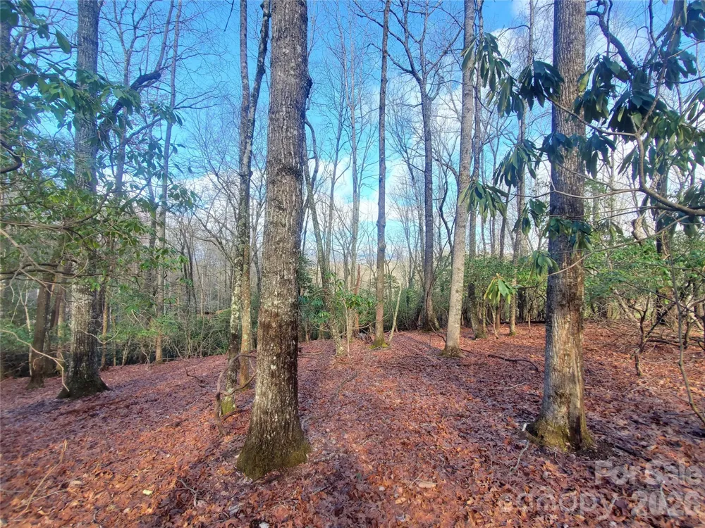 TBD Skye Drive #803a & 803b Pisgah Forest, NC 28768