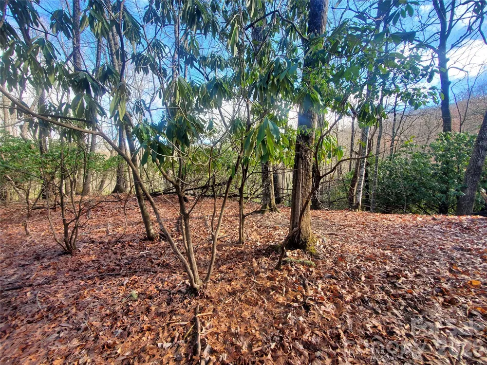TBD Skye Drive #803a & 803b Pisgah Forest, NC 28768
