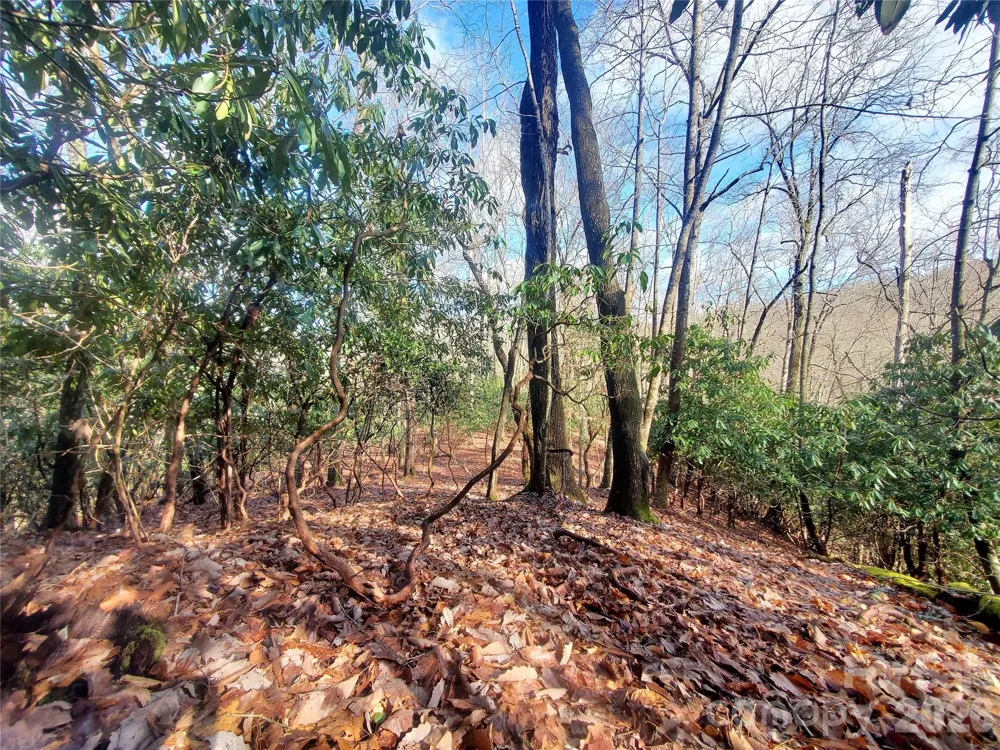 TBD Skye Drive #803a & 803b Pisgah Forest, NC 28768