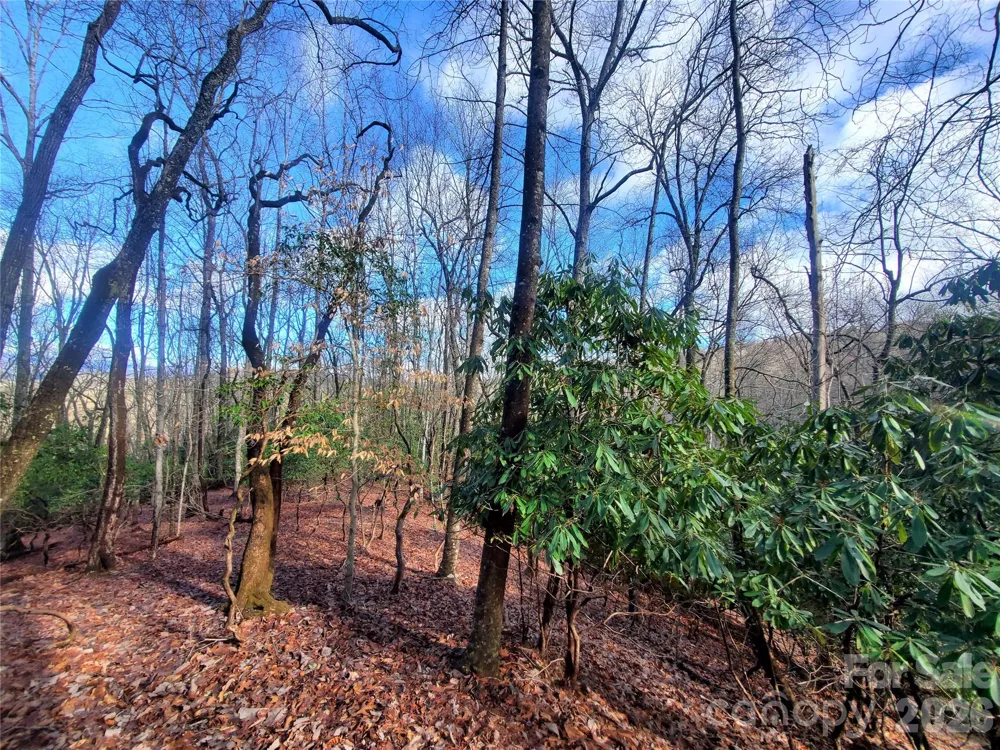 TBD Skye Drive #803a & 803b Pisgah Forest, NC 28768