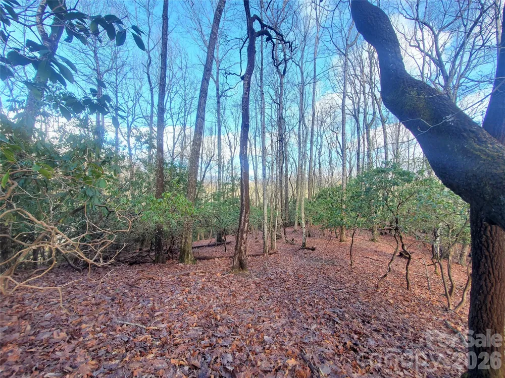 TBD Skye Drive #803a & 803b Pisgah Forest, NC 28768