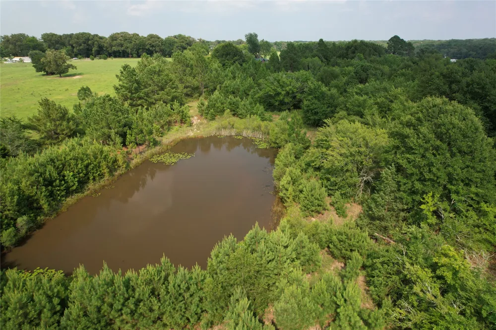 1847 State Highway 19 Highway Emory, TX 75440
